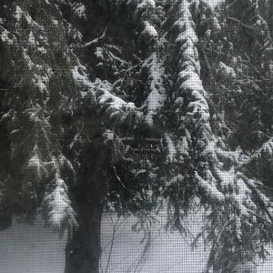 Meet your Posher, Candice